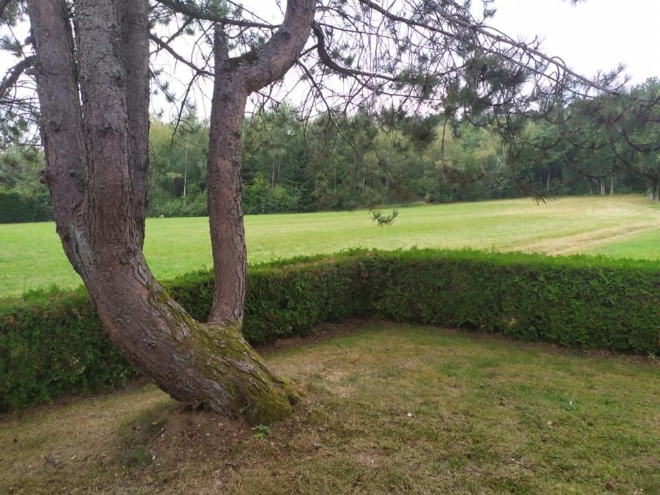 Chalet Du Spiemont Champdray Bagian luar foto